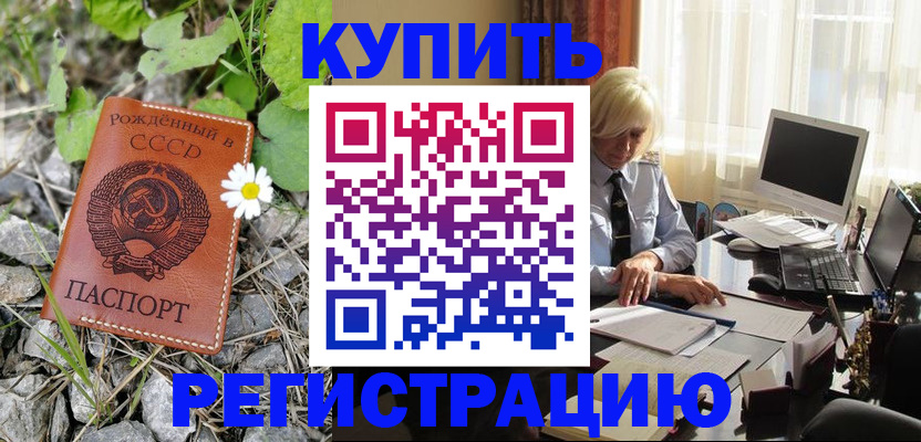 временная регистрация недорого в Алейске
